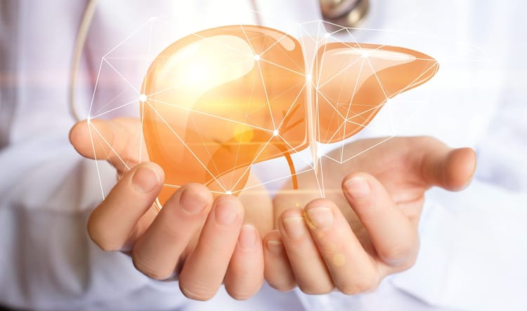 Liver Support (Fatty Liver)