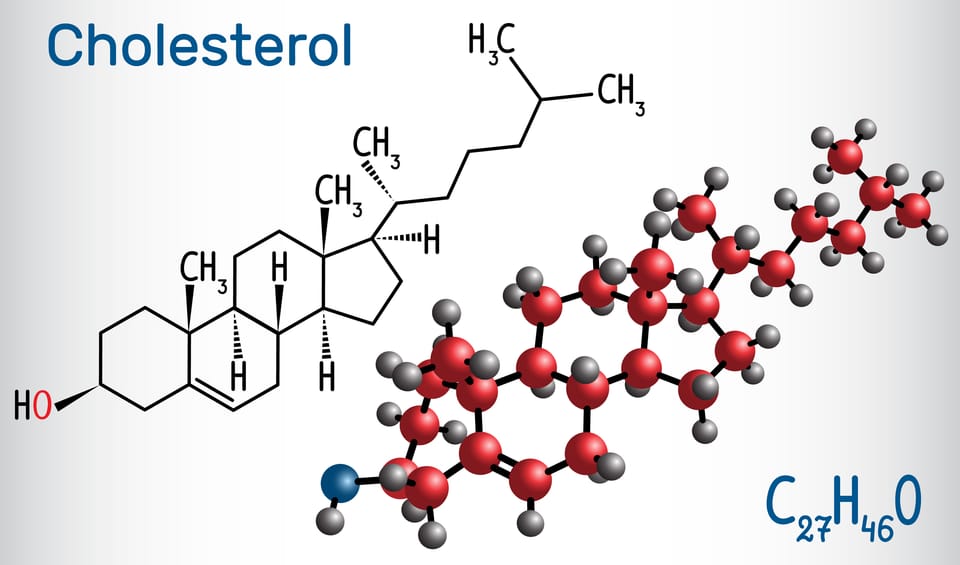 Cholesterol Management